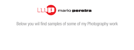 Mario Pereira Resume Site - Below you will find samples of my photography work.